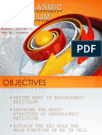 SER RER | PDF | Endoplasmic Reticulum | Cell Biology