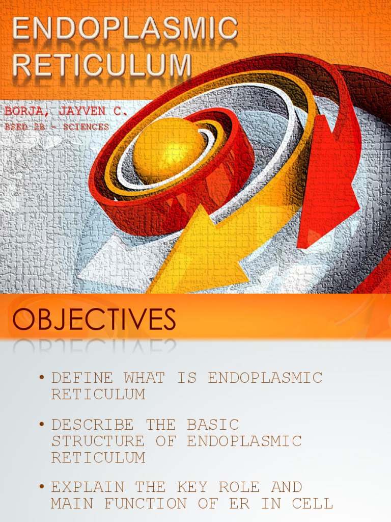 Structure and Functions of ER | PDF | Endoplasmic Reticulum | Cell Biology