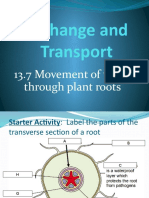 13.7 Movement of Water Through Roots