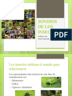 Exposicion Entomologia