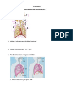 LKS Respirasi