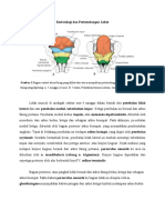 BDS 4 Case 2 Pertemuan 2 - Embriologi Dan Perkembangan Lidah