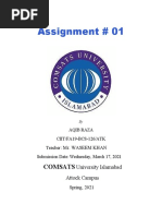 Assignment # 01: Comsats