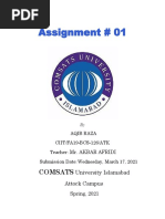 Assignment # 01: Comsats