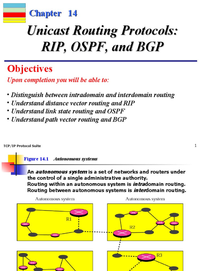 Unicast routing protocols rip ospf and bgp pdf routing