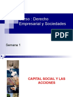 1.3 Capital Social