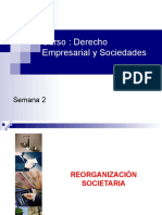 1.5 Reorganización de Sociedades