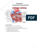 Worksheet Sistem Sirkulasi Moodle