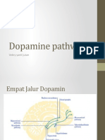 Dopamine Pathway