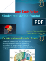 Sindroame Emisferice