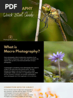 Photo Composition | PDF