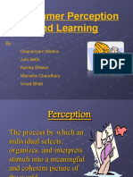 Consumer Perception and Learning: By:-Ghanshyam Mishra Juhi Sethi Kanika Bhasin. Manisha Chaudhary Vinod Bhati