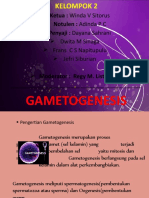 Biologi Presentation Gametogenesis