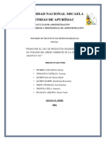 Informe Proyecto Social Administracion