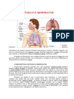 Aparatul Respirator