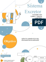 Actividades 8vo Sistema Excretor