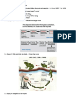  Với dạng process thường thời gian không được chỉ ra trong bài -> sử dụng HIỆN TẠI ĐƠN