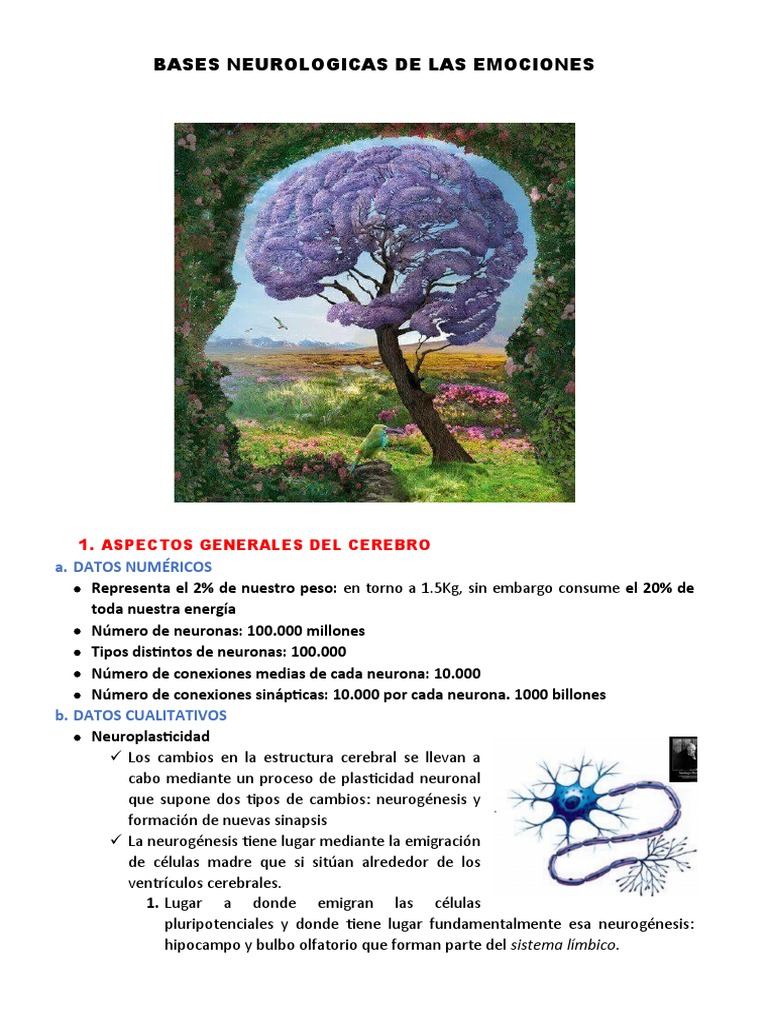 Bases Neurológicas de las Emociones | PDF | Cerebro | Sistema límbico