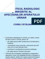 4. Diagnosticul Radio-imagistic