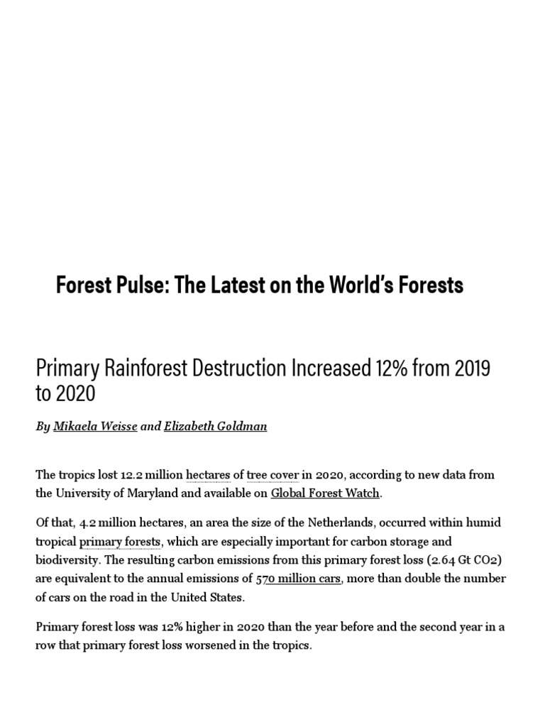 The Latest Analysis On Global Forests & Tree Cover Loss - Global Forest ...