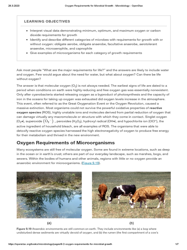Oxygen Requirements For Microbial Growth Microbiology OpenStax