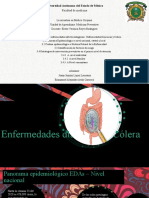 Enfermedades Diarreicas y Cólera