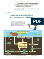 Indicador 4 Nitrogeno