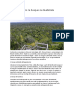 7 Tipos de Bosques de Guatemala