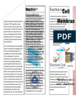 Cell Membran E: Function Cont. Function Structure Importance World Dependence