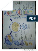 T.2 Neurociencias