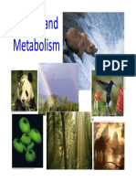 Energy and Metabolism Energy and Metabolism
