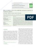 Effect of Nalidixic Acid On The Morphology and Protein Expression of Pseudomonas Aeruginosa