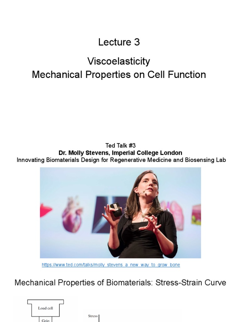 Viscoelasticity Mechanical Properties On Cell Function PDF Young's