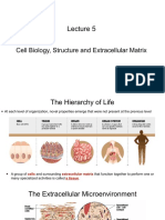 Cell Biology, Structure and Extracellular Matrix