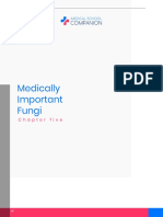 Medically Important Fungi Anatomy and Treatment