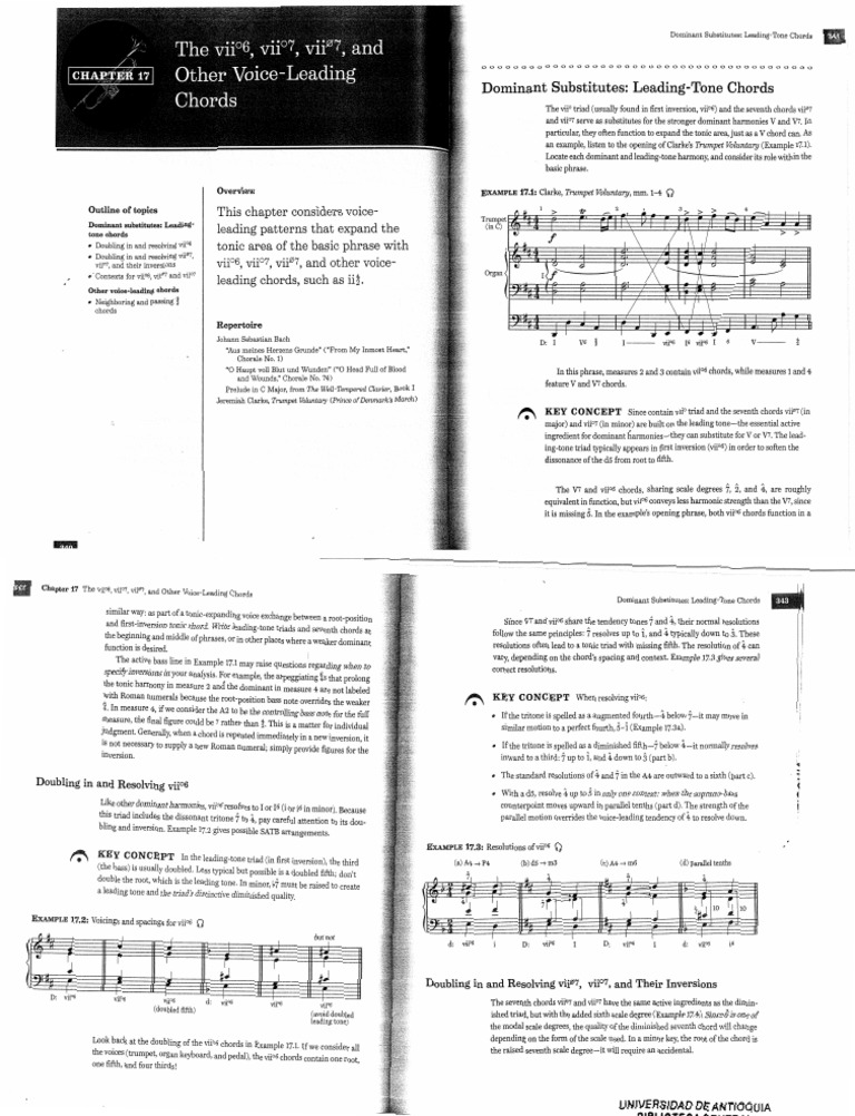 Dominant Substitutes: vii6 Chords Explained | PDF | Chord (Music) | Harmony