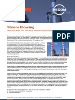 Steam Blowing: Technical Bulletin