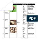 Mikrobiologi Umum 2