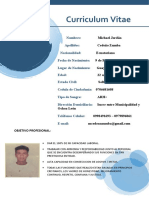 Curriculum Vitae - Michael Cedeño