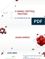 P6 Asam Amino