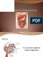 Sistema Digestório - 8º Anos