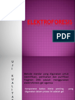 Elektroforesis Compressed