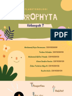 Kelompok 7 - Planktonologi - Pyrrophyta