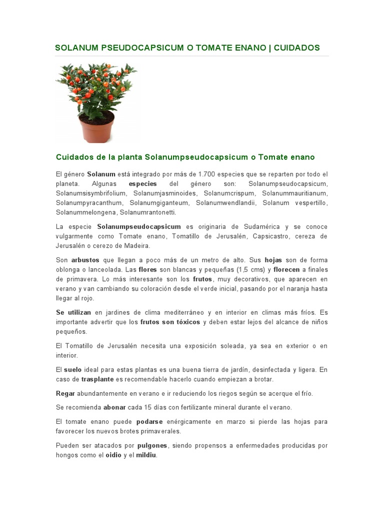 Un jardín autosuficiente | Plantas, image size:768x1024