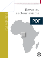 Revue Du Secteur Avicole Cameroun _FAO