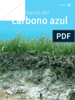 Carbono Azulmx