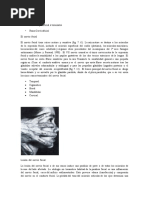 Download PARALISIS FACIAL by Sandra Galeano SN50129544 doc pdf