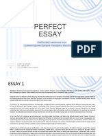Perfect Essay 2.0