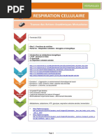 TRAAM_RESPIRATION_CELLULAIRE_TERMINALE_ST2S