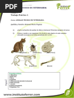 Modulo I - Auxiliar de Veterinaria - Actividad 1 Respuestas